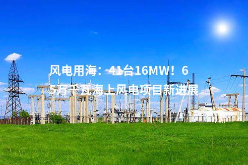 風(fēng)電用海：41臺(tái)16MW！65萬千瓦海上風(fēng)電項(xiàng)目新進(jìn)展