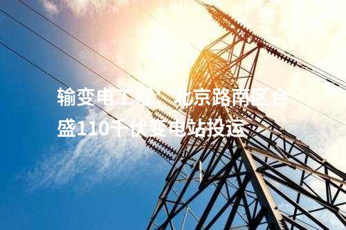 儲能項(xiàng)目：電管家集團(tuán)750kW/1500kWh儲能項(xiàng)目并網(wǎng)