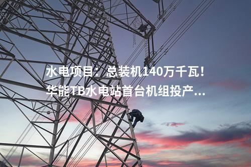 水電項目：總裝機140萬千瓦！華能TB水電站首臺機組投產發電