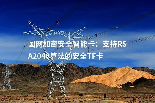 國(guó)網(wǎng)加密安全智能卡：支持RSA2048算法的安全TF卡