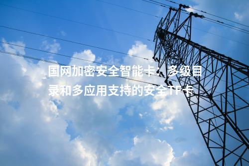 國網加密安全智能卡：多級目錄和多應用支持的安全TF卡