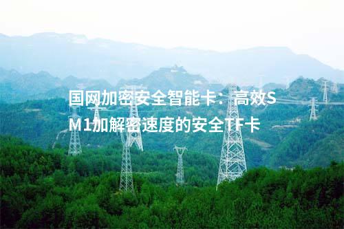 國網加密安全智能卡：高效SM1加解密速度的安全TF卡