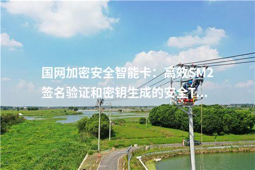 國網加密安全智能卡：支持SM1、SM2、SM3算法的高安全性TF卡