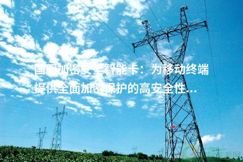 國網加密安全智能卡：為移動終端提供全面加密保護的高安全性TF卡