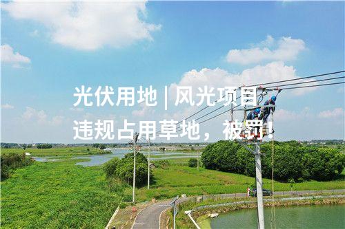 光伏用地 | 風光項目違規占用草地，被罰！