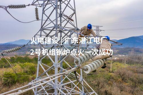 光伏發(fā)電 | 貴州冊亨縣八渡農業(yè)光伏電站項目（一期）全容量并網發(fā)電