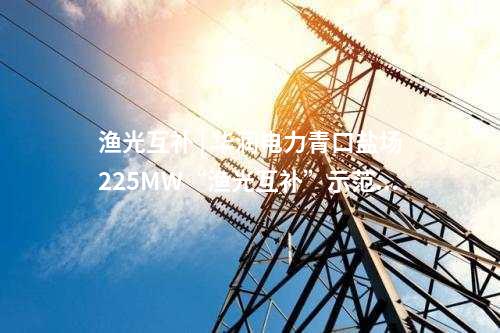 中國電建 | 蘇里南副總統出席中企承建微電網項目二期竣工儀式