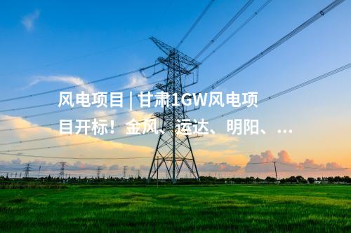 漳州核電 | 中國核電披露福建漳州核電站1號機(jī)組計劃電量上網(wǎng)電價
