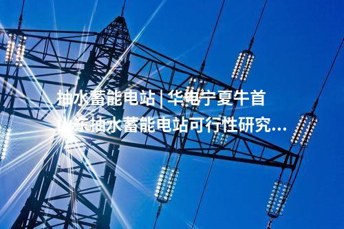 抽水蓄能電站 | 華電寧夏牛首山東抽水蓄能電站可行性研究階段內審工作完成