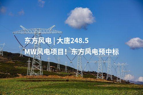 東方風電 | 大唐248.5MW風電項目！東方風電預中標
