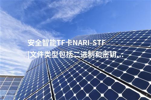 安全智能TF卡NARI-STF|文件類(lèi)型包括二進(jìn)制和密鑰文件