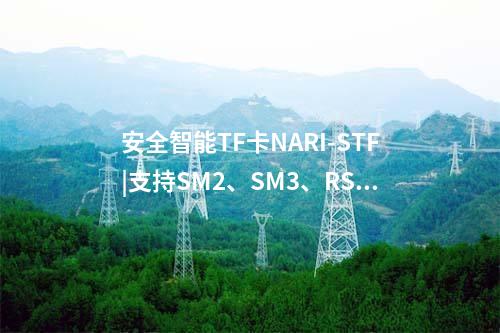 安全智能TF卡NARI-STF|支持SM2、SM3、RSA2048等多種密碼算法