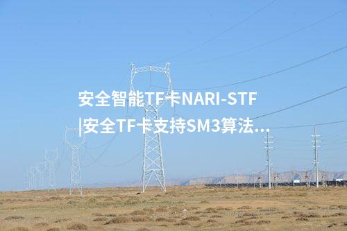 安全智能TF卡NARI-STF|安全TF卡支持SM3算法的數據加解密