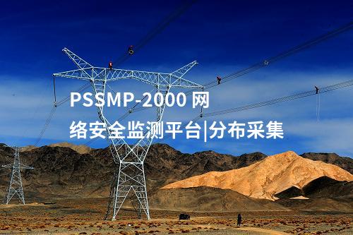 PSSMP-2000 廠站一體化監(jiān)視|網(wǎng)絡安全服務