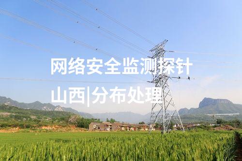 網絡安全監測探針山西|分布處理