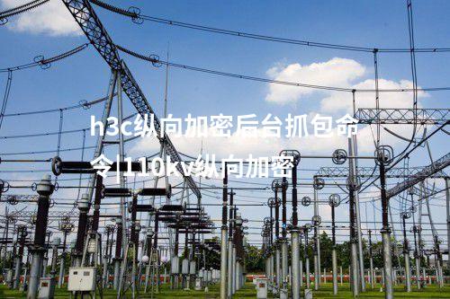 sjw07-a縱向加密登錄|sjw07縱向加密默認登錄地址