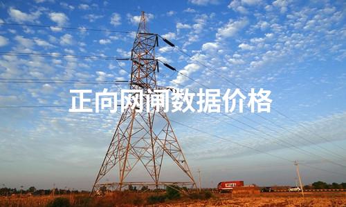 正向網閘多少錢 