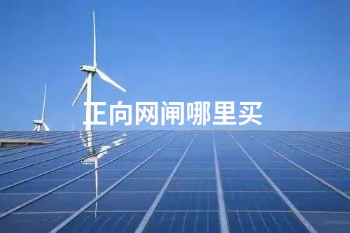 正向網閘哪里買 