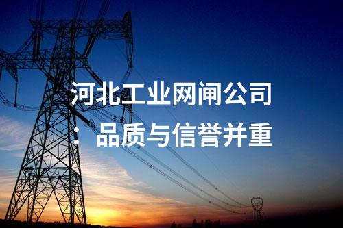 工業網閘報價：價格因素分析與預算建議