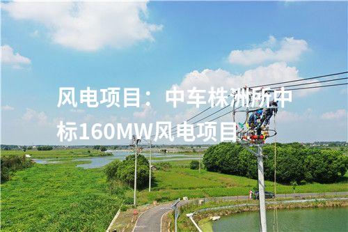 輸電線路：±800千伏祁韶直流輸電工程年度外送電量突破100億千瓦時(shí)
