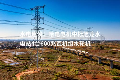 水電建設：哈電電機中標旭龍水電站4臺600兆瓦機組水輪機